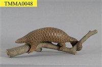 藏品(臺灣鯪鯉)的圖片